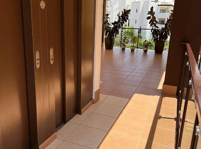 Premium In Mar Palm-mar